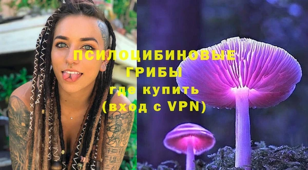 винт Михайловка