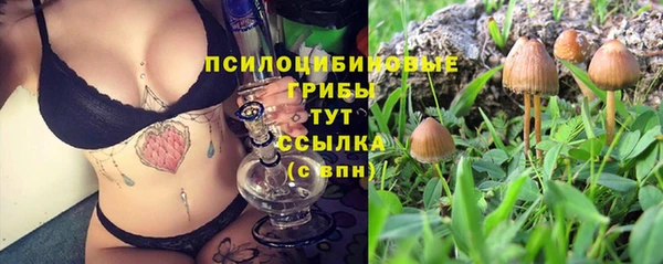 винт Михайловка