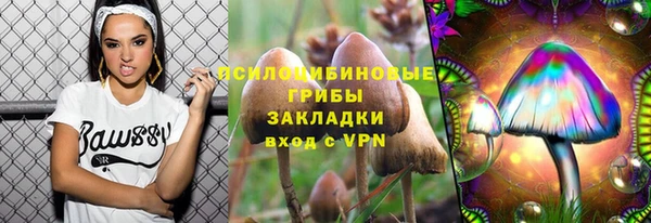 крисы Михайлов